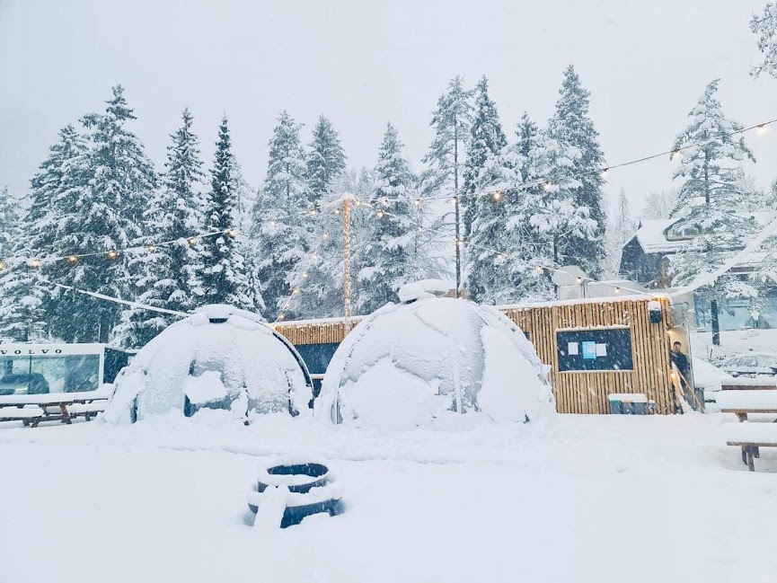 Tough and Durable Dining Igloos: Where Memories Endure